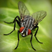 /album/smoklauleco/photolia-a01-jpg/