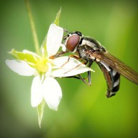 /album/smoklauleco/photolia-a02-jpg/