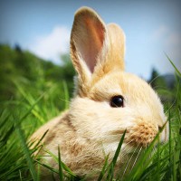 /album/smoklauleco/photolia-a03-jpg/