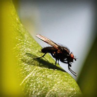 /album/smoklauleco/photolia-a04-jpg/