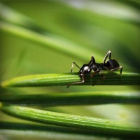 /album/smoklauleco/photolia-a05-jpg/