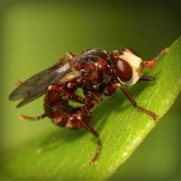 /album/smoklauleco/photolia-a06-jpg/