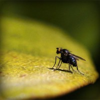 /album/smoklauleco/photolia-a07-jpg/