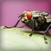 /album/smoklauleco/photolia-a08-jpg/